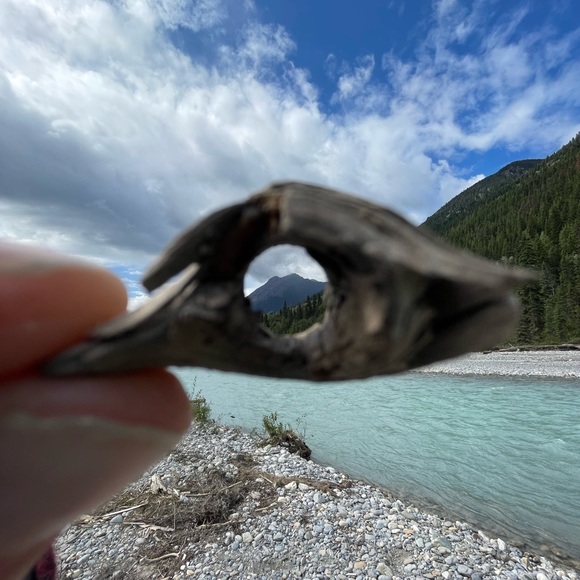 Meet your Posher, Candace - Picture 1 of 1